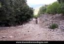 Anteprima Tour Enduro Sentieri del Supramonte e Gennargentu 2017