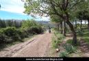 Tour Maxi Enduro Barbagia Sardegna 2019 - Anteprima percorsi
