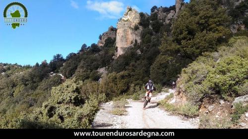 Enormi pareti e massi calcarei fanno da sfondo al nostro itinerario Enormi pareti e massi calcarei fanno da sfondo al nostro itinerario