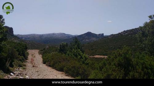 Sentiero nel territorio di Orgosolo, centro Sardegna Sentiero nel territorio di Orgosolo, centro Sardegna
