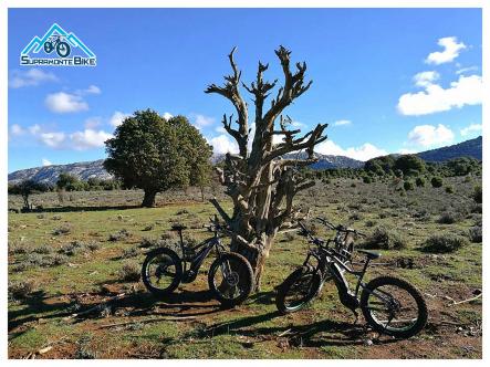 Escursione MTB E-Bike nel Supramonte di Orgosolo